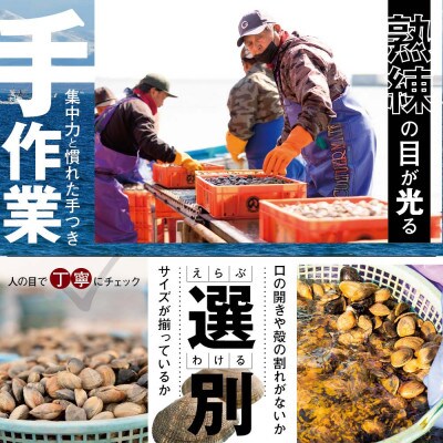 2023年9月発送開始『定期便』別海町産冷凍大粒あさり約1.5kg(小分け5パック) 全7回
