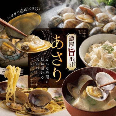 2023年1月発送開始『定期便』別海町産冷凍大粒あさり約1.5kg(小分け5パック) 隔月全6回