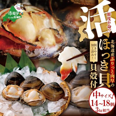 貝殻付　活ホッキ　中サイズ　3kg相当(14～18個)　鮮度抜群!剥きやすい状態でお届け!