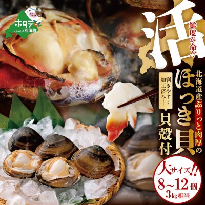 貝殻付　活ホッキ　大サイズ　3kg相当(8～12個)　鮮度抜群!剥きやすい状態でお届け!
