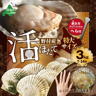 【ホタテ漁期中】活ホタテ3kg 大サイズ(7枚～14枚) 鮮度抜群　殻付き 北海道野付産ほたて貝柱