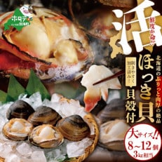 【数量限定】活 ホッキ貝 3kg 相当 貝殻付 大サイズ 北海道 刺身 カレー に!