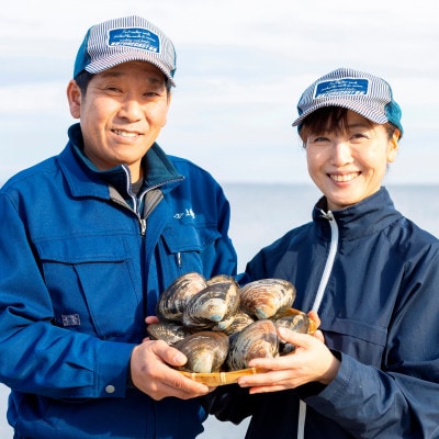 【ホッキ漁期中】活 ホッキ貝 3kg 相当 貝殻付 大サイズ 北海道 刺身 カレー に　鮮度抜群発送