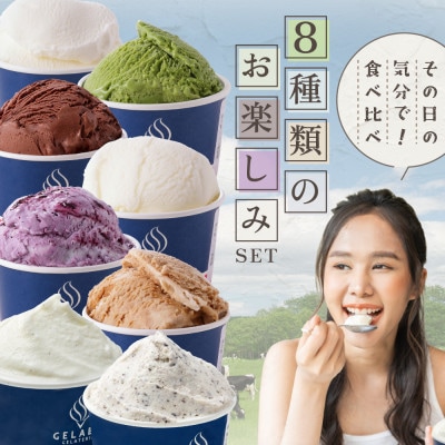 【本格ジェラート専門】大人気店の北海道 贅沢ジェラート8種セット アイスクリーム好きにも