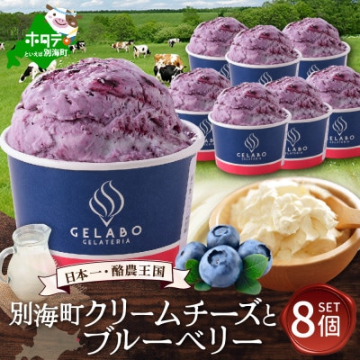 【本格ジェラート専門】大人気店の北海道 贅沢ジェラートセット ブルーベリー 8個 アイス好きにも