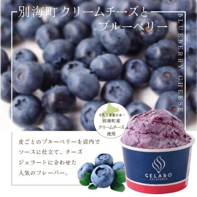 【本格ジェラート専門】大人気店の北海道 贅沢ジェラートセット ブルーベリー 8個 アイス好きにも