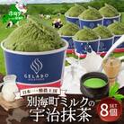 【本格ジェラート専門】大人気店の北海道 贅沢ジェラートセット 宇治抹茶 8個 アイス好きにも