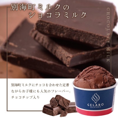 【本格ジェラート専門】大人気店の北海道 贅沢ジェラートセット ショコラミルク 8個 アイス好きにも