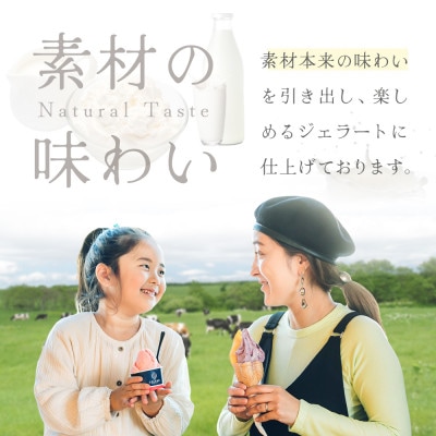 【本格ジェラート専門】大人気店の北海道 贅沢ジェラートセット ショコラミルク 8個 アイス好きにも