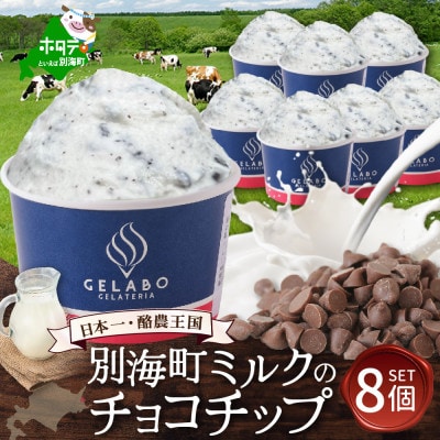 【本格ジェラート専門】大人気店の北海道 贅沢ジェラートセット チョコチップ8個 アイス好きにも