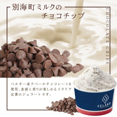 【本格ジェラート専門】大人気店の北海道 贅沢ジェラートセット チョコチップ8個 アイス好きにも