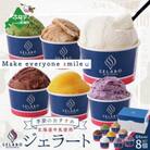 【毎月定期便】北海道牛乳使用 ジェラートおすすめ8個セット 全4回