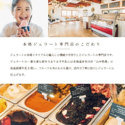 【毎月定期便】北海道牛乳使用 ジェラート12個セット 全4回