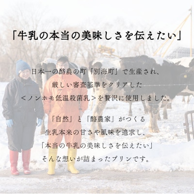 New Pudding(ニュープディング)500g×1個　別海町産生乳を贅沢に使用したこだわりプリン