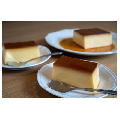 2023年10月発送開始『定期便』New Pudding(ニュープディング)500g 隔月全2回