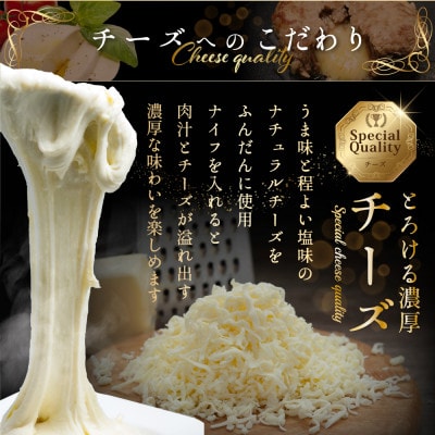ファーストクラス チーズin 贅沢ハンバーグ1.3kgセット 北海道 別海牛使用 130g×10個