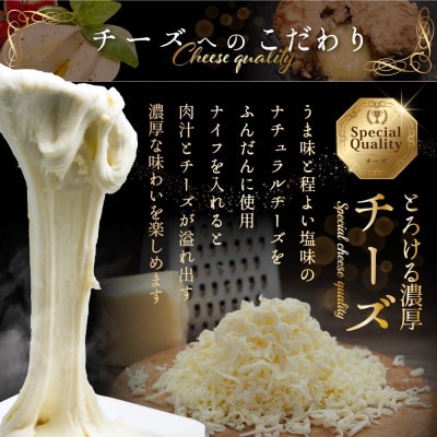 【3種ソース付】贅沢チーズinハンバーグ 1.3kgセット 北海道 別海牛使用130g×10個 冷凍