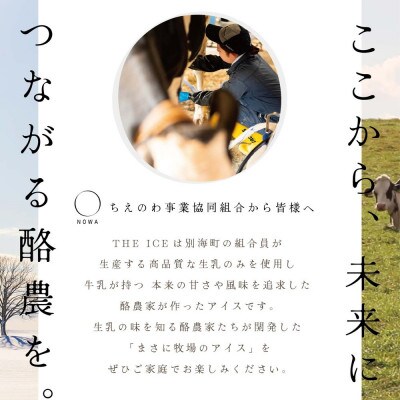 【THE ICE】 エキストラミルク 業務用アイス 2L ファミリーサイズ【別海町産生乳使用】