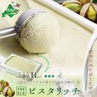 【2ヵ月毎定期便】THE ICEピスタリッチ業務用アイス1Lファミリーサイズ別海町産生乳使用 全3回