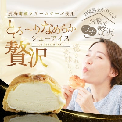 【毎月定期便】濃厚シューアイス 20個 北海道 別海町産チーズ贅沢使用 冷たいシュークリーム全2回