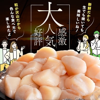 とまらない北海道 ほたて貝柱400g 刺身用 海鮮丼 訳あり小玉 冷凍 帆立 別海町 ふるさと納税