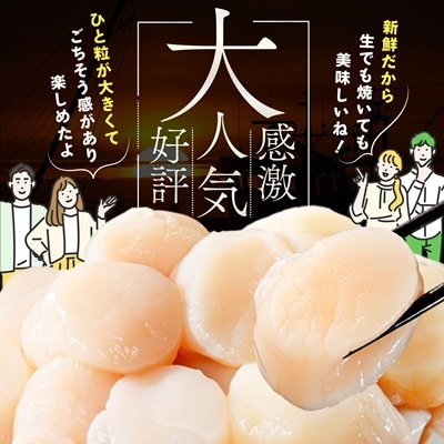 とまらない北海道 ほたて貝柱600g 刺身用 海鮮丼 訳あり大玉 冷凍 帆立 別海町 ふるさと納税