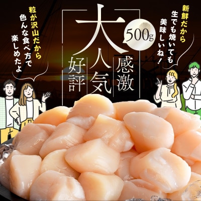 とまらない北海道 ほたて貝柱1.5kg 生食用 訳あり 小玉 冷凍 別海町