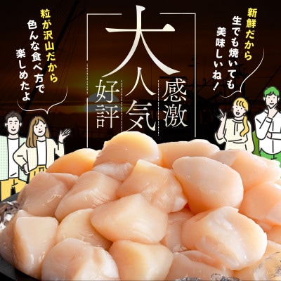 とまらない北海道 ほたて貝柱2kg(500g×4) 刺身用 海鮮丼 訳あり 小玉 冷凍 別海町