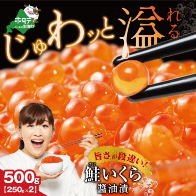 贅沢いくら丼 6杯分 鮭いくら醤油漬け500g(250g×2) 小分けパック