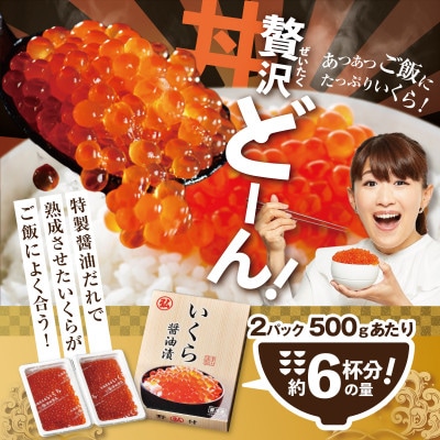 贅沢いくら丼 6杯分 鮭いくら醤油漬け500g(250g×2) 小分けパック