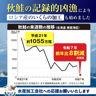 贅沢いくら丼 6杯分 鮭いくら醤油漬け500g(250g×2) 小分けパック