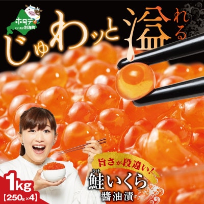 贅沢いくら丼 12杯分 鮭いくら醤油漬け1kg(250g×4) 小分けパック