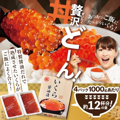 贅沢いくら丼 12杯分 鮭いくら醤油漬け1kg(250g×4) 小分けパック