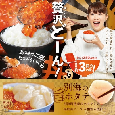 贅沢いくら丼 3杯分 鮭いくら醤油漬け250gパック