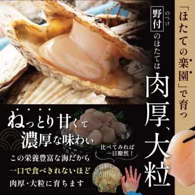 【希少】 ほたて貝柱 1kg 肉厚 大玉 北海道野付産 生食刺身用『ホタテといえば別海町』