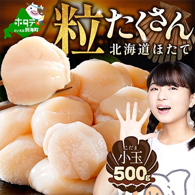 訳あり ほたて貝柱 500g 北海道産 刺身用 粒沢山 小玉 不揃い ほたて刺身用 冷凍帆立貝柱