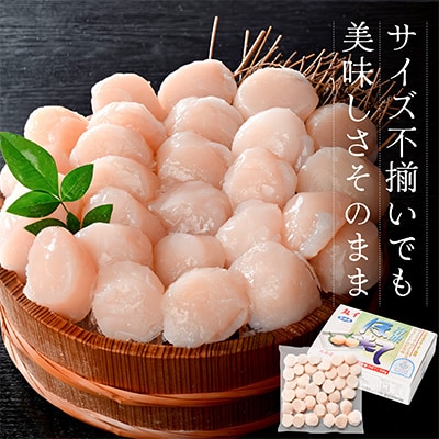 訳あり ほたて貝柱 500g 北海道産 刺身用 粒沢山 小玉 不揃い ほたて刺身用 冷凍帆立貝柱