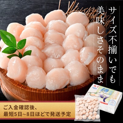 訳あり ほたて貝柱 500g 北海道産 刺身用 粒沢山 小玉 不揃い ほたて刺身用 冷凍帆立貝柱