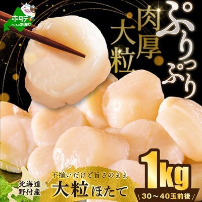 北海道 大粒 ほたて貝柱1kg 訳あり 刺身用 海鮮 ホタテ大 玉冷『ホタテといえば別海町』