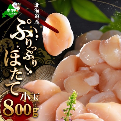 北海道産 小玉 ほたて貝柱 800g 刺身 生食用 お料理にも便利 5S～7Sサイズ