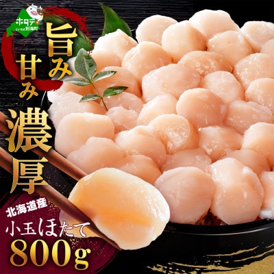 北海道産 小玉 ほたて貝柱 800g 刺身 生食用 お料理に便利 6S～7Sサイズ