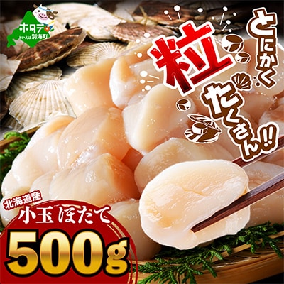 北海道産 小玉 ほたて貝柱 500g 刺身 生食用 お料理に便利 6S～7Sサイズ