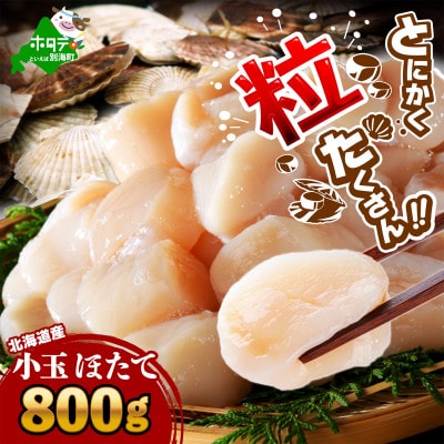 とにかく粒たくさん 北海道産 小玉 ほたて貝柱 800g 刺身 生食用 7Sサイズ ふるさと納税