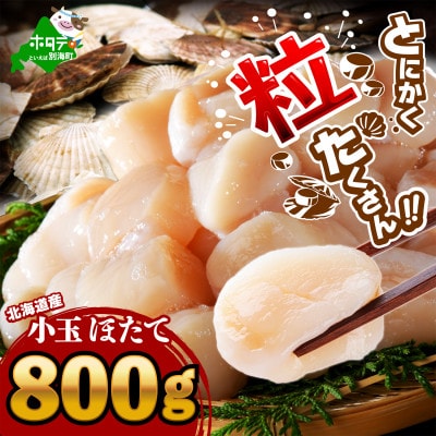 とにかく粒たくさん 北海道産 小玉 ほたて貝柱 800g 刺身 生食用 7Sサイズ 包丁いらず 玉冷