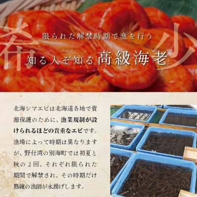 天然 北海シマエビ 1kg(500g×2) Lサイズ 北海道野付産 ボイル済 大サイズ