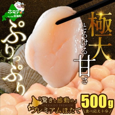【希少プレミアム】わずか3%贅沢極大ホタテ貝柱500g 北海道野付産ならでは ホタテといえば別海