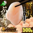 【希少】驚くほどの贅沢サイズ プレミアム ホタテ貝柱 500g 北海道野付産『ホタテといえば別海町』