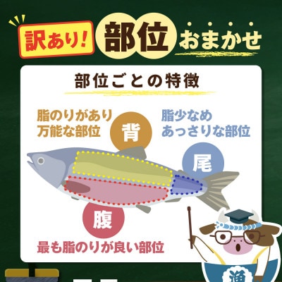 アトランティックサーモン 刺身用 800g 4パック前後の小分け 冷凍 訳あり サーモン丼にぴったり