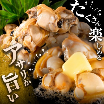 北海道野付産 あさり ボイルむき身 640g(小分け4P) 大粒国産冷凍 下処理不要