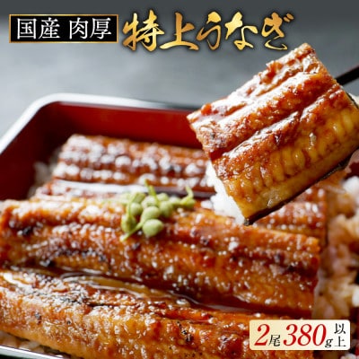 【肉厚ふっくら】国産 うなぎの蒲焼 2尾 計380g 特製たれと山椒がついた鰻蒲焼セット 化粧箱入り